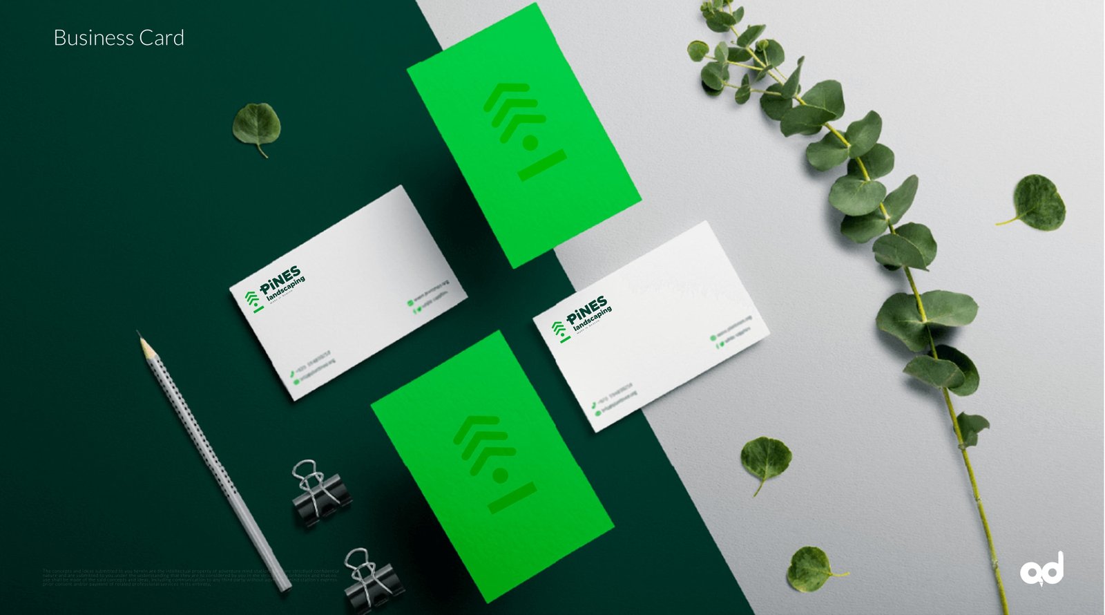 Pines Landscaping Pattern